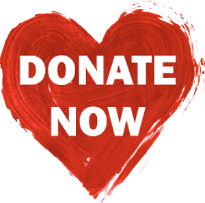 donate_now